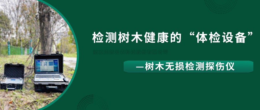 树木无损检测探伤仪精准检测树木健康状况，给出专业治疗方案