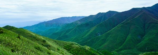 智慧护林有妙招，看太子山如何用科技守护森林