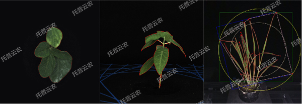 温室型高通量植物表型采集分析平台-2维.jpg