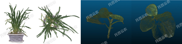 温室型高通量植物表型采集分析平台-3维.jpg